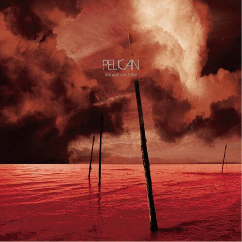 Pelican : What We All Come to Need